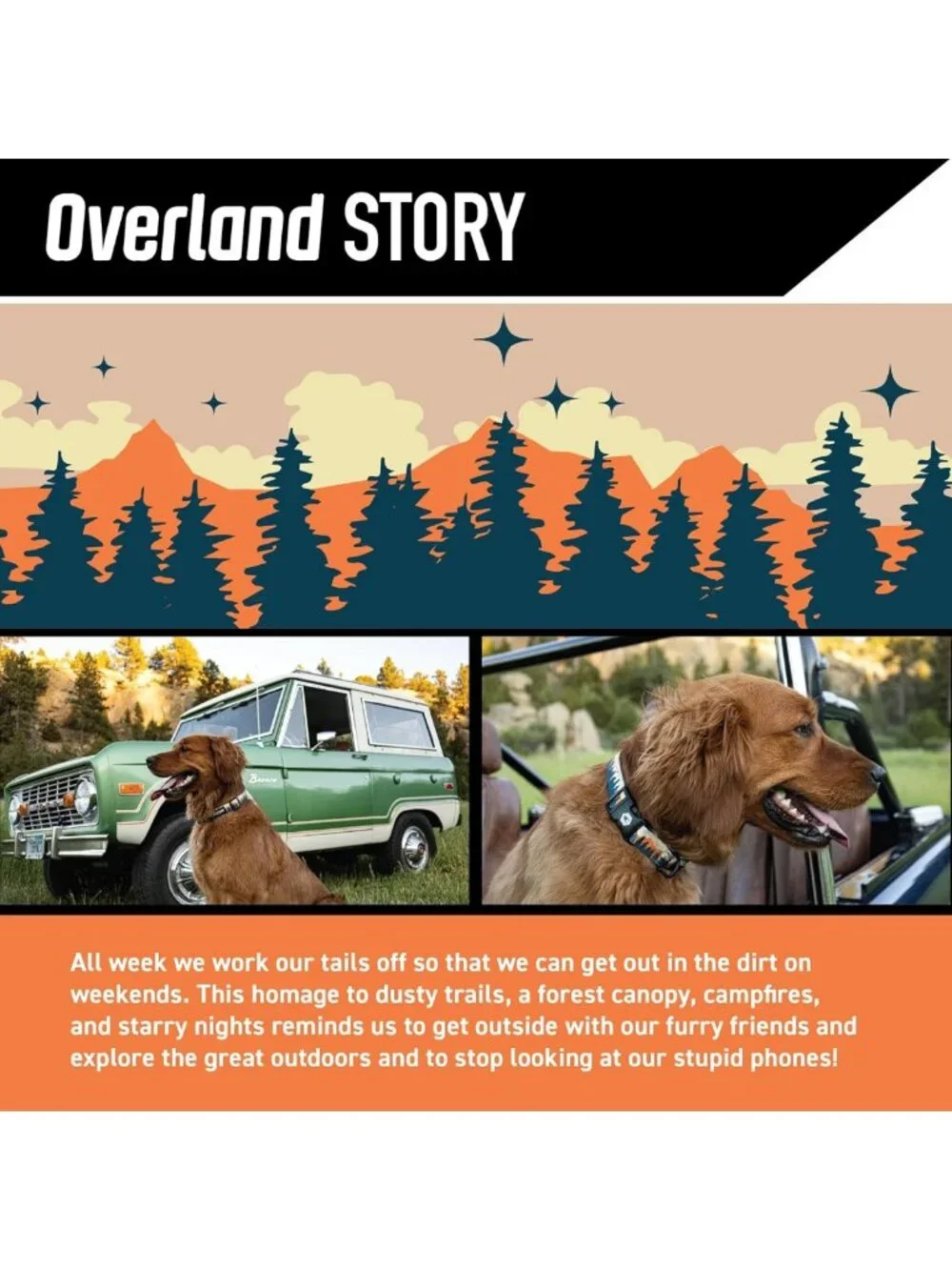Adjustable Heavy Duty Dog Collar with Quick Release Buckle for Training